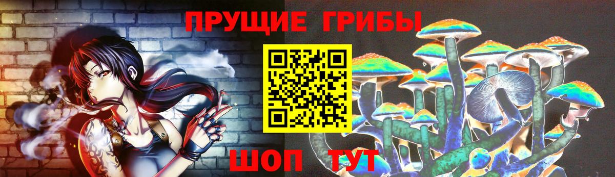 Галлюциногенные грибы Cubensis Когалым