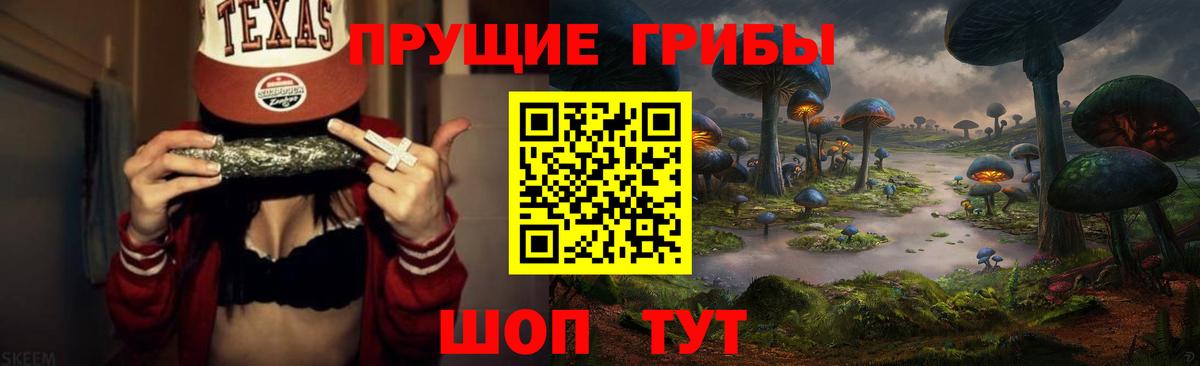 Псилоцибиновые грибы Psilocybine cubensis  Вход с VPN  Когалым 